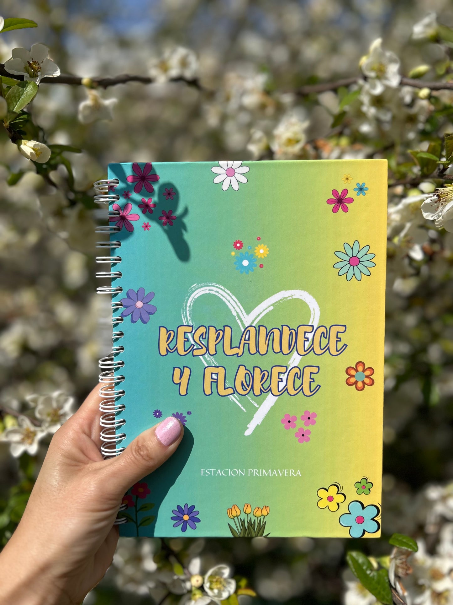 Rayonne et fleuris